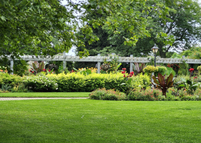 Dan working in a garden