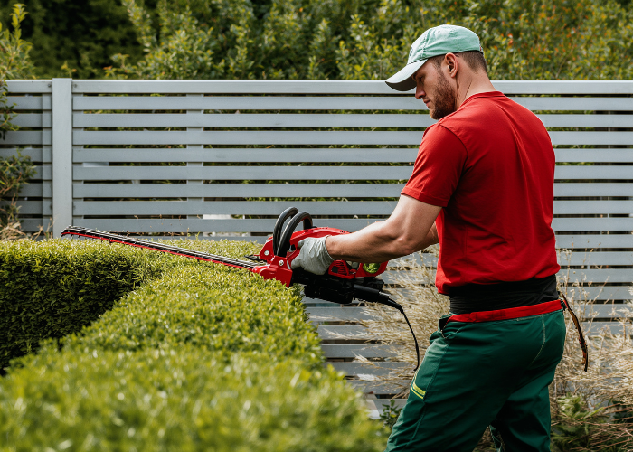 Hedge cutting service